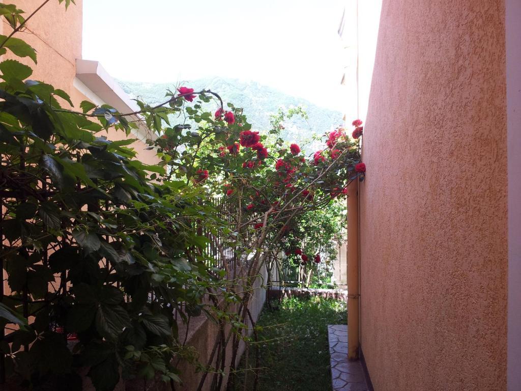 Apartments Popovic 2 كوتور المظهر الخارجي الصورة